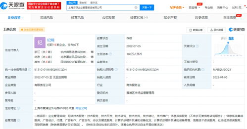 螞蟻集團上海新設企管咨詢公司，信息系統集成服務成亮點